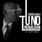Cosculluela - No Piensas En Mi MP3